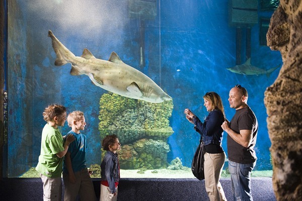 Ócenárium borítókép