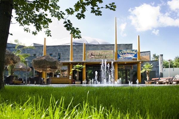 Zöld Piramis borítókép