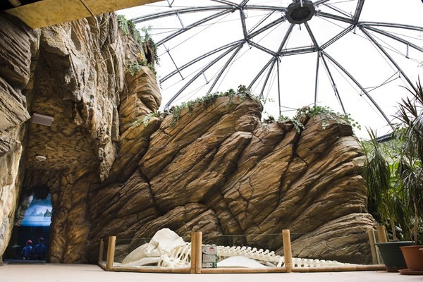 Zöld Piramis borítókép