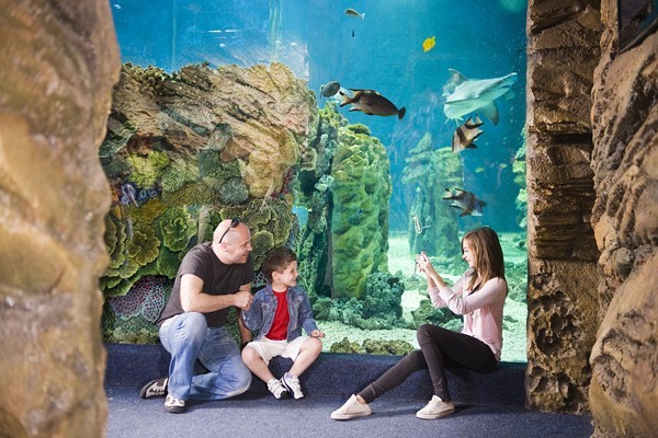 Életképek borítókép