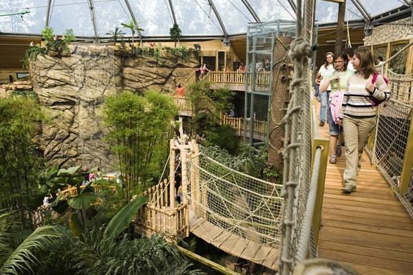 Zöld Piramis borítókép