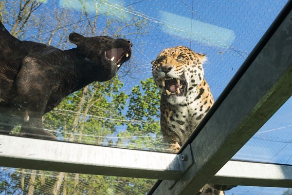 Andok Kalandok borítókép