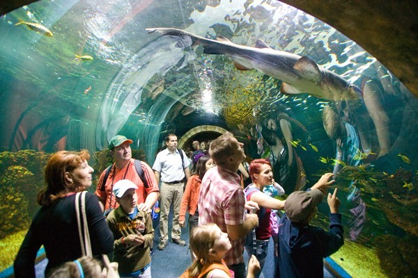 Ócenárium borítókép