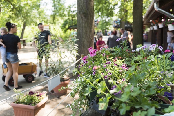 Életképek borítókép