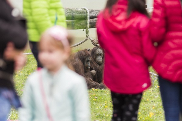 Életképek borítókép