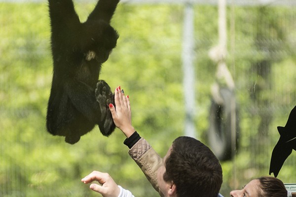 Életképek borítókép
