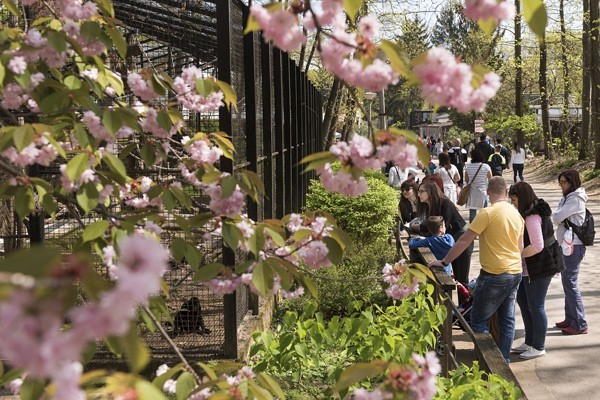 Életképek borítókép